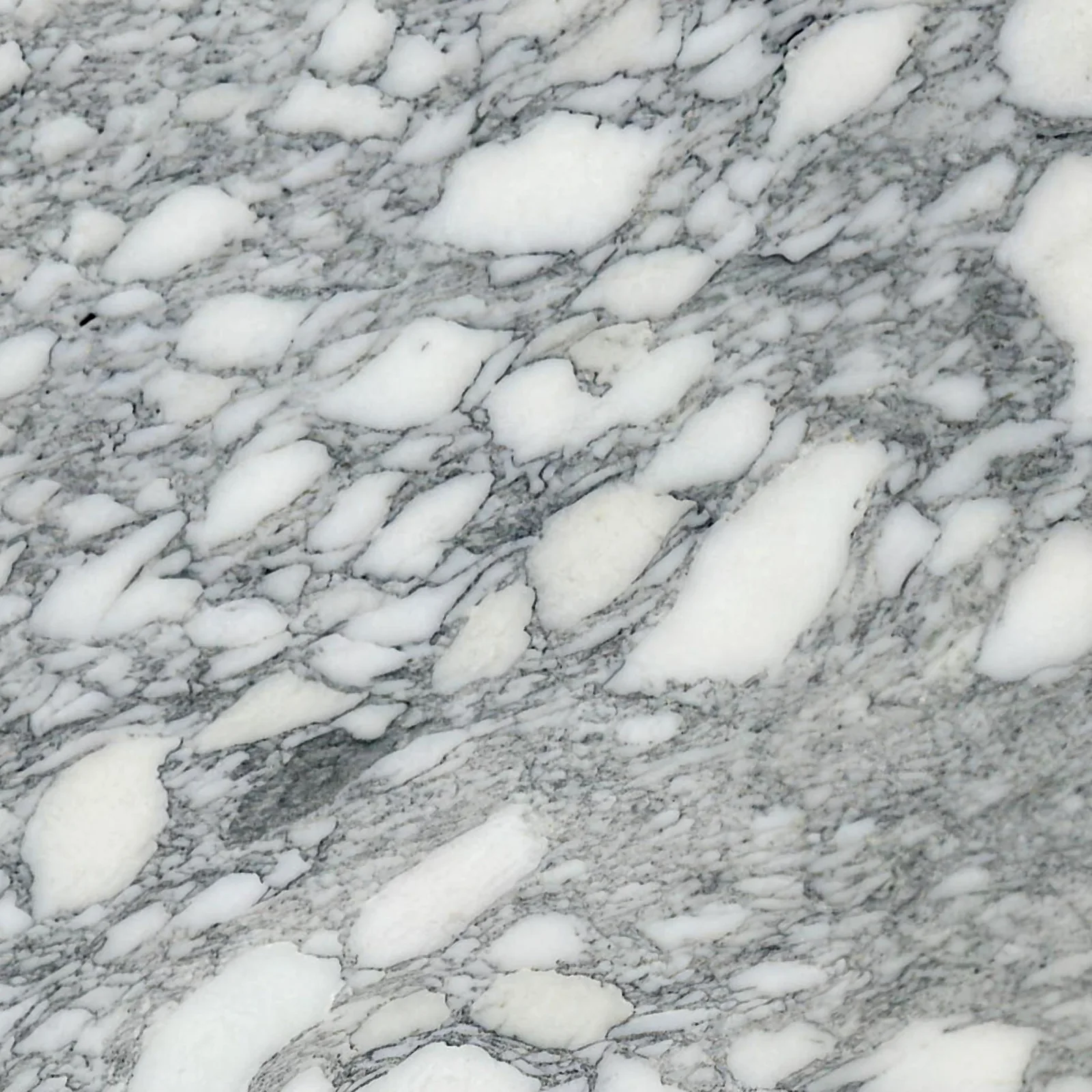 Arabescato Corchia Extra Honed marble slab