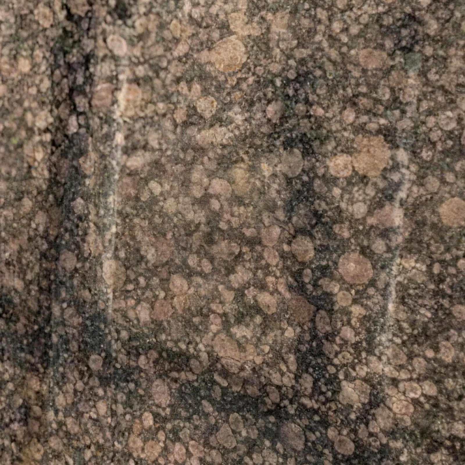 Baltic Brown granite slab