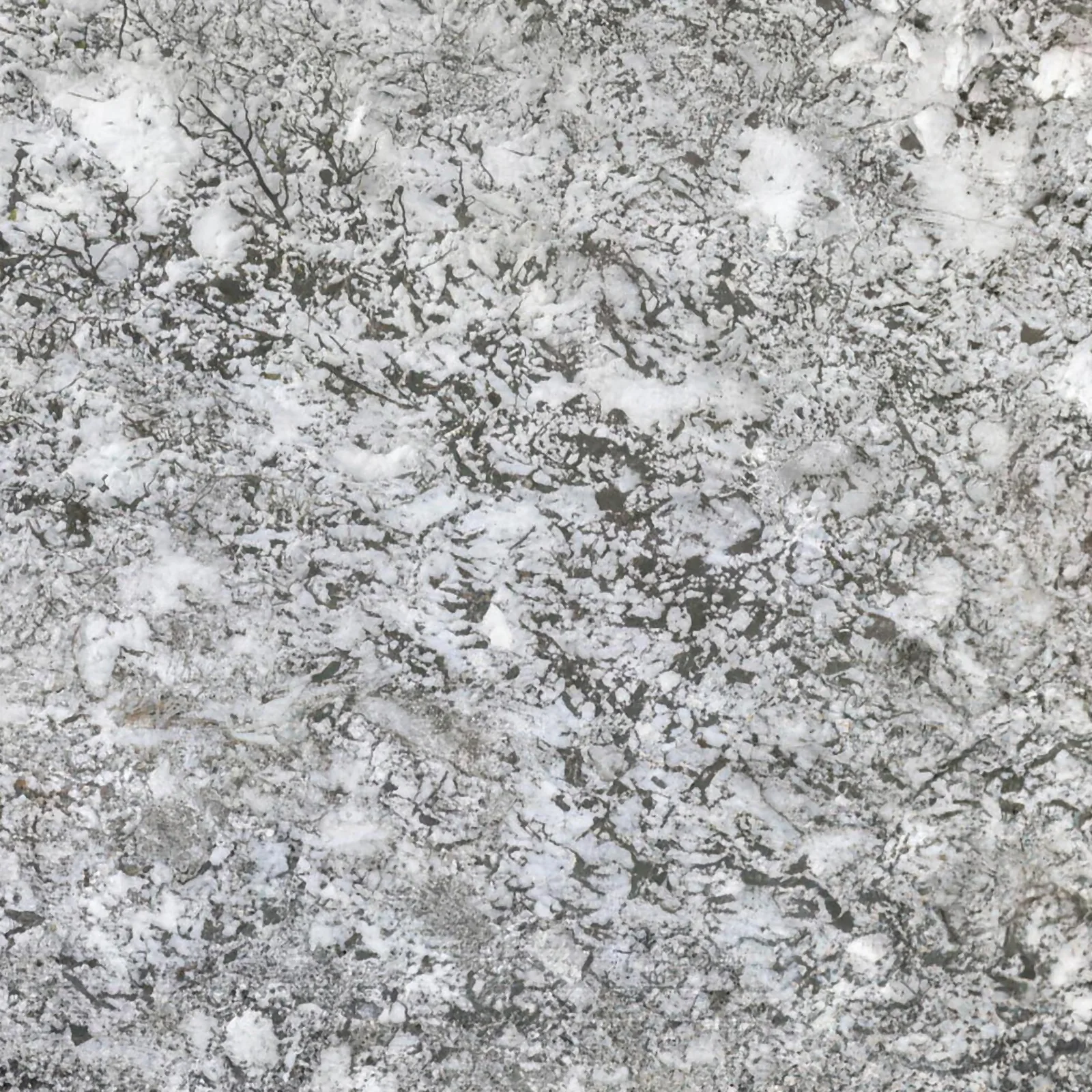 Bianco Antico granite slab