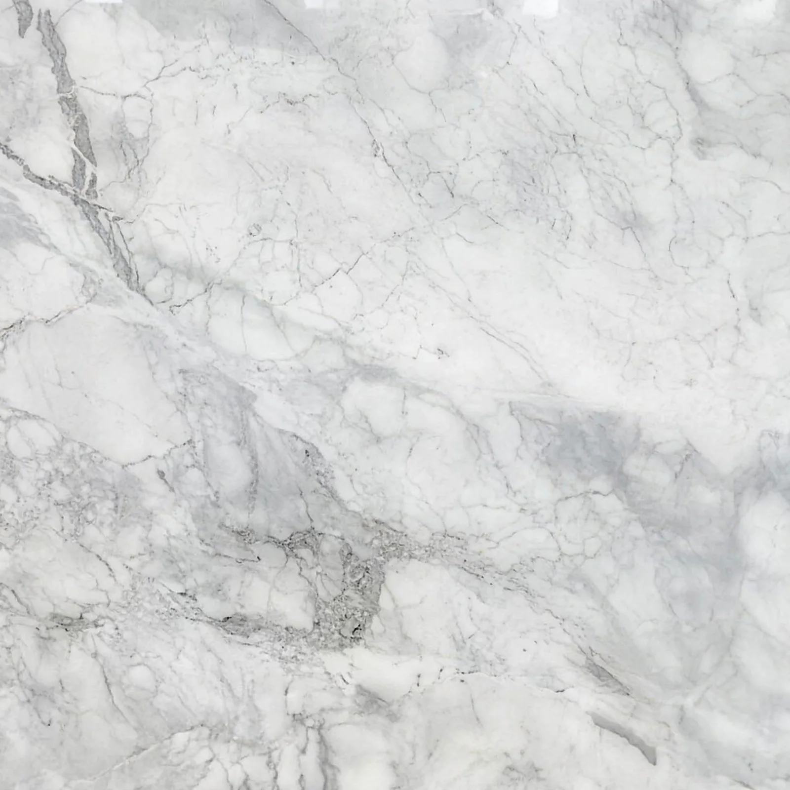 Calacatta Brasil quartzite slab