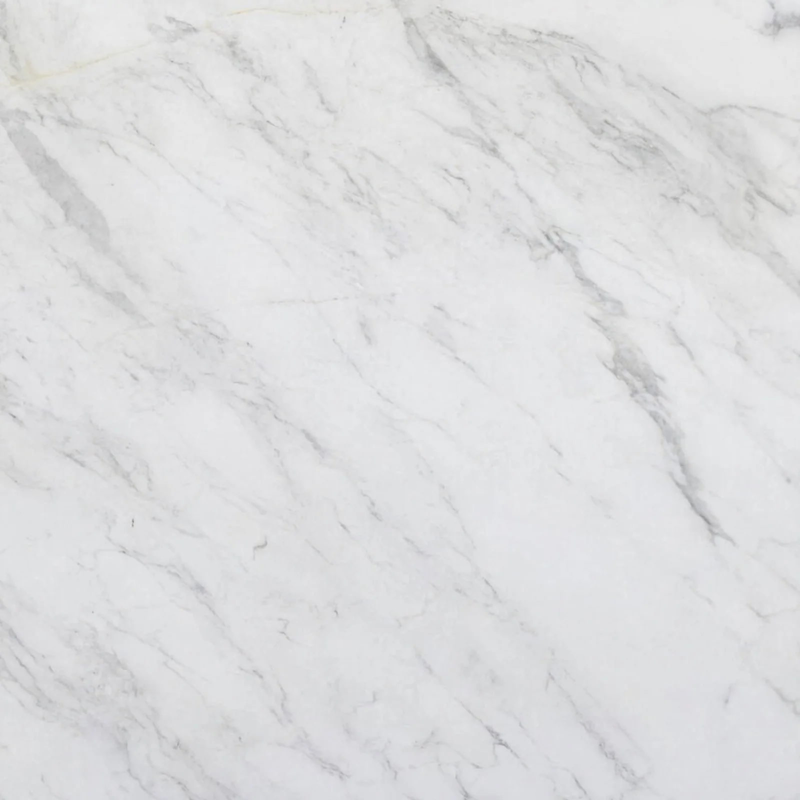 Calacatta Cremo Honed marble slab