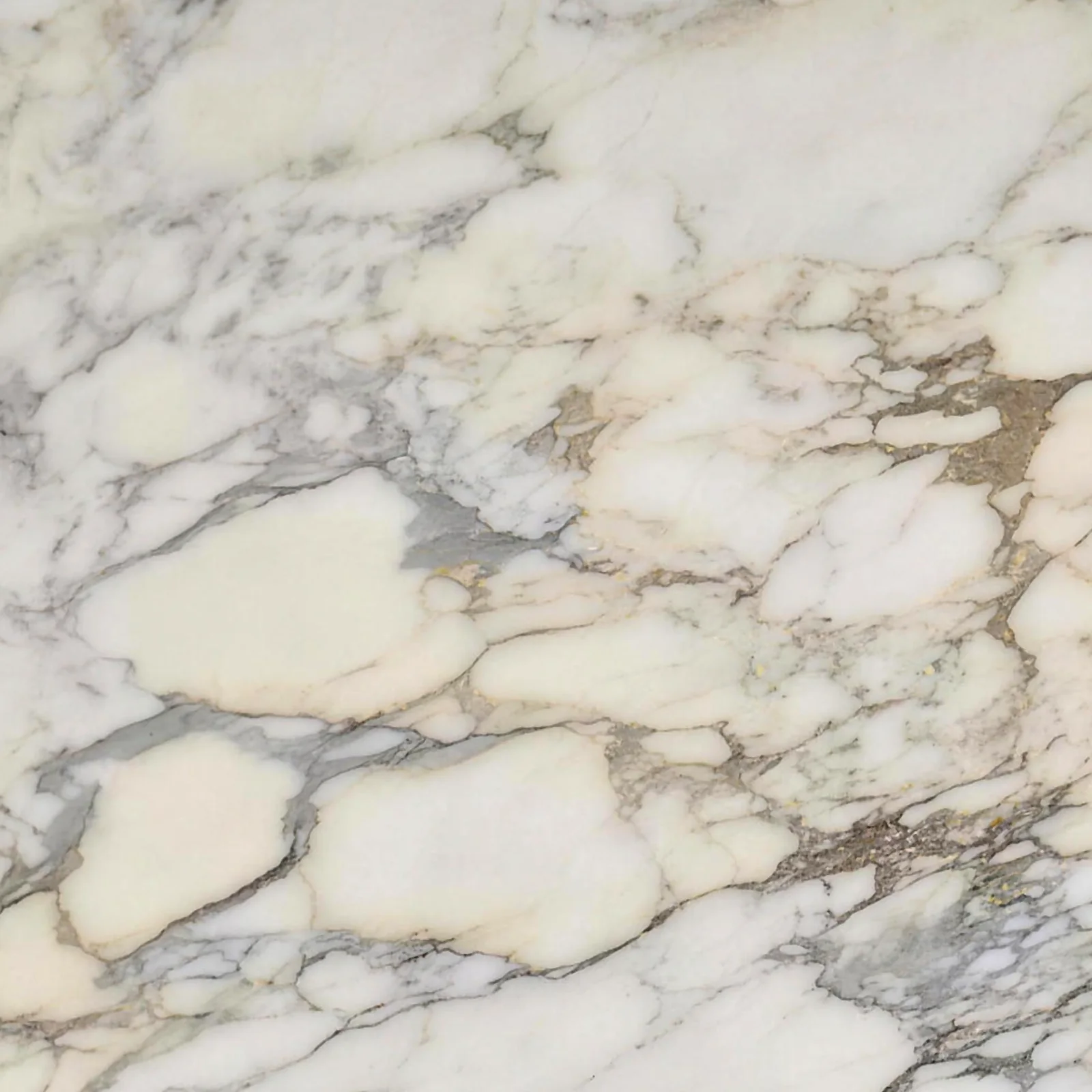 Calacatta Gold Oro Honed marble slab
