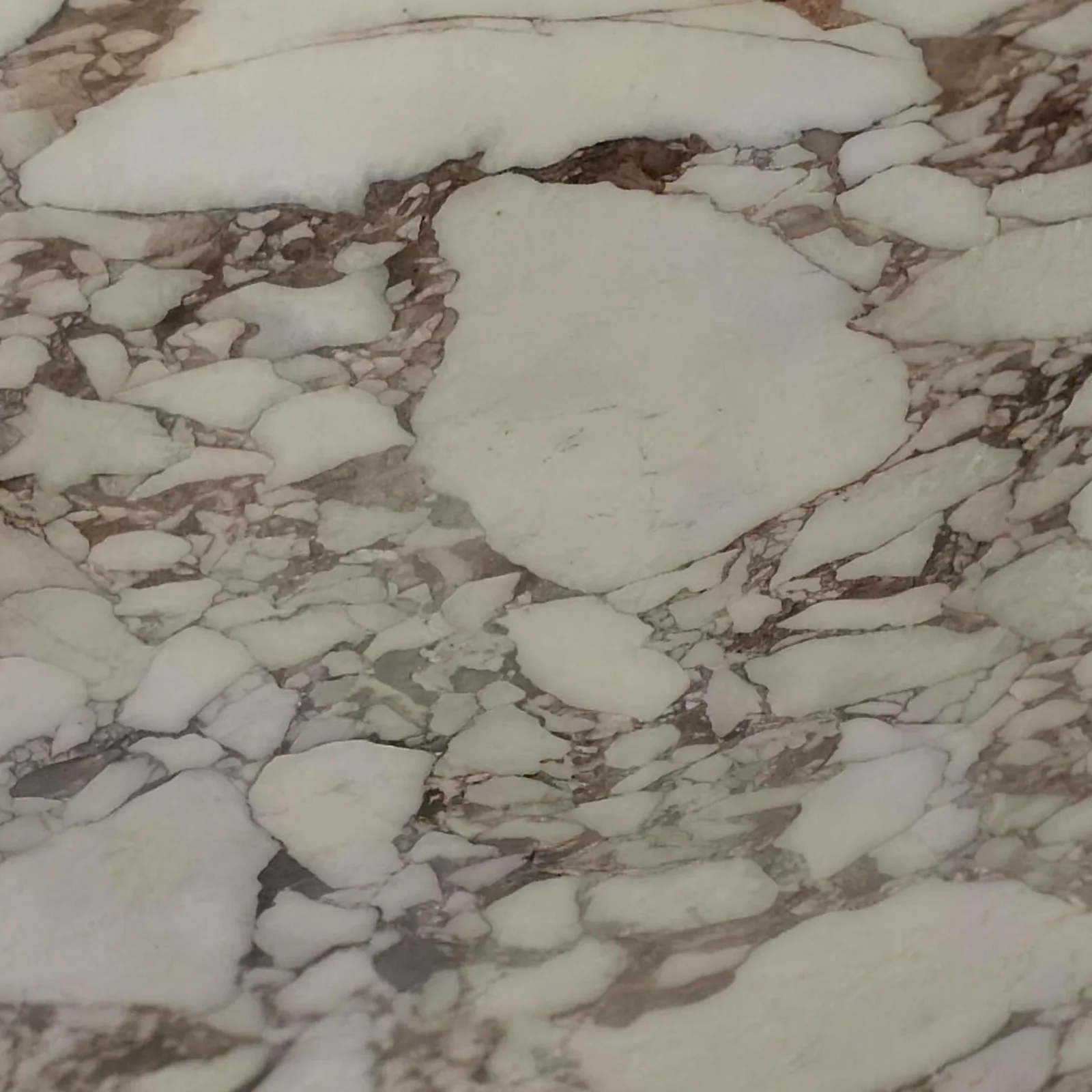 Calacatta Vagli Oro Honed marble slab