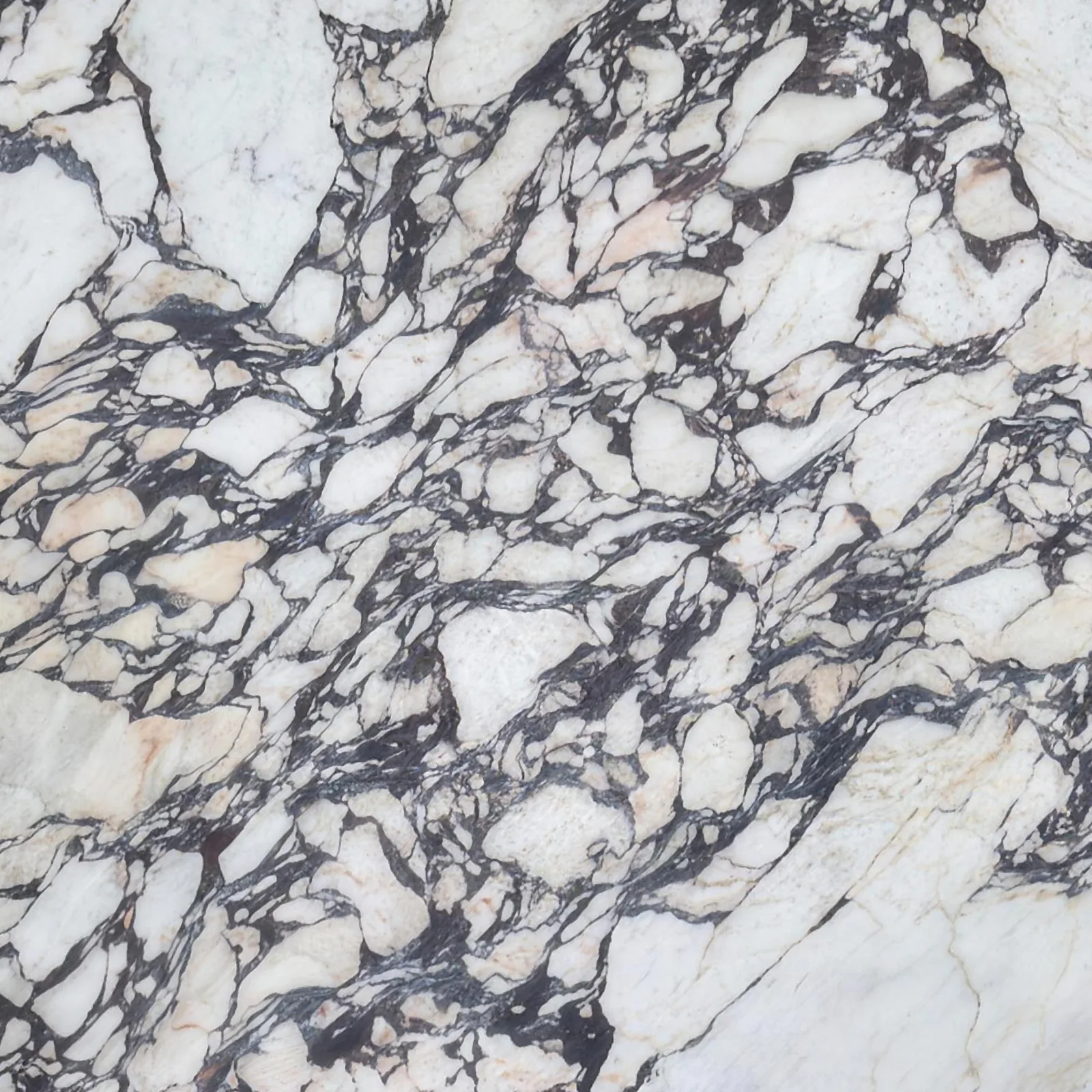 Calacatta Viola Honed marble slab