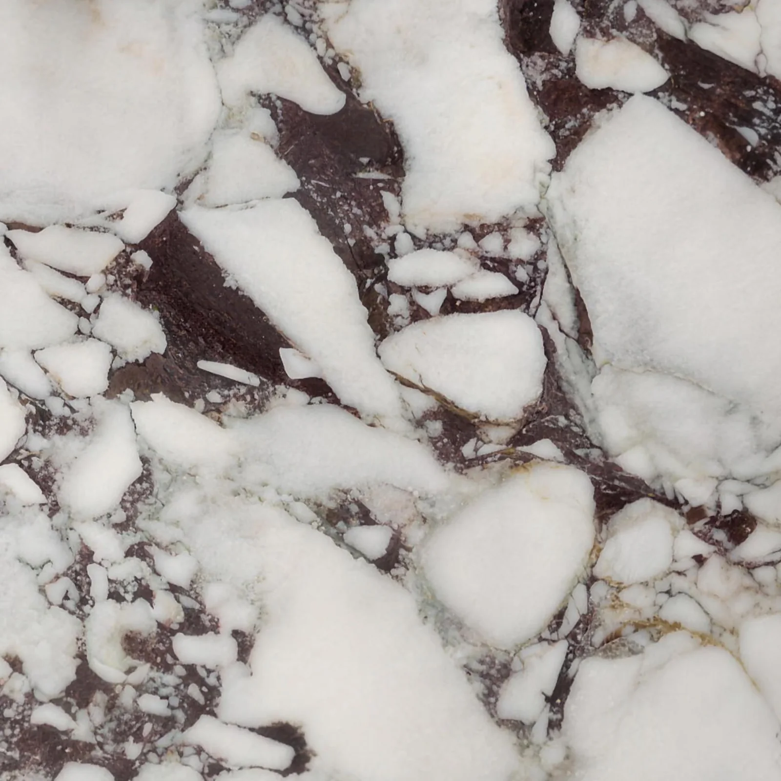 Calacatta Viola marble slab