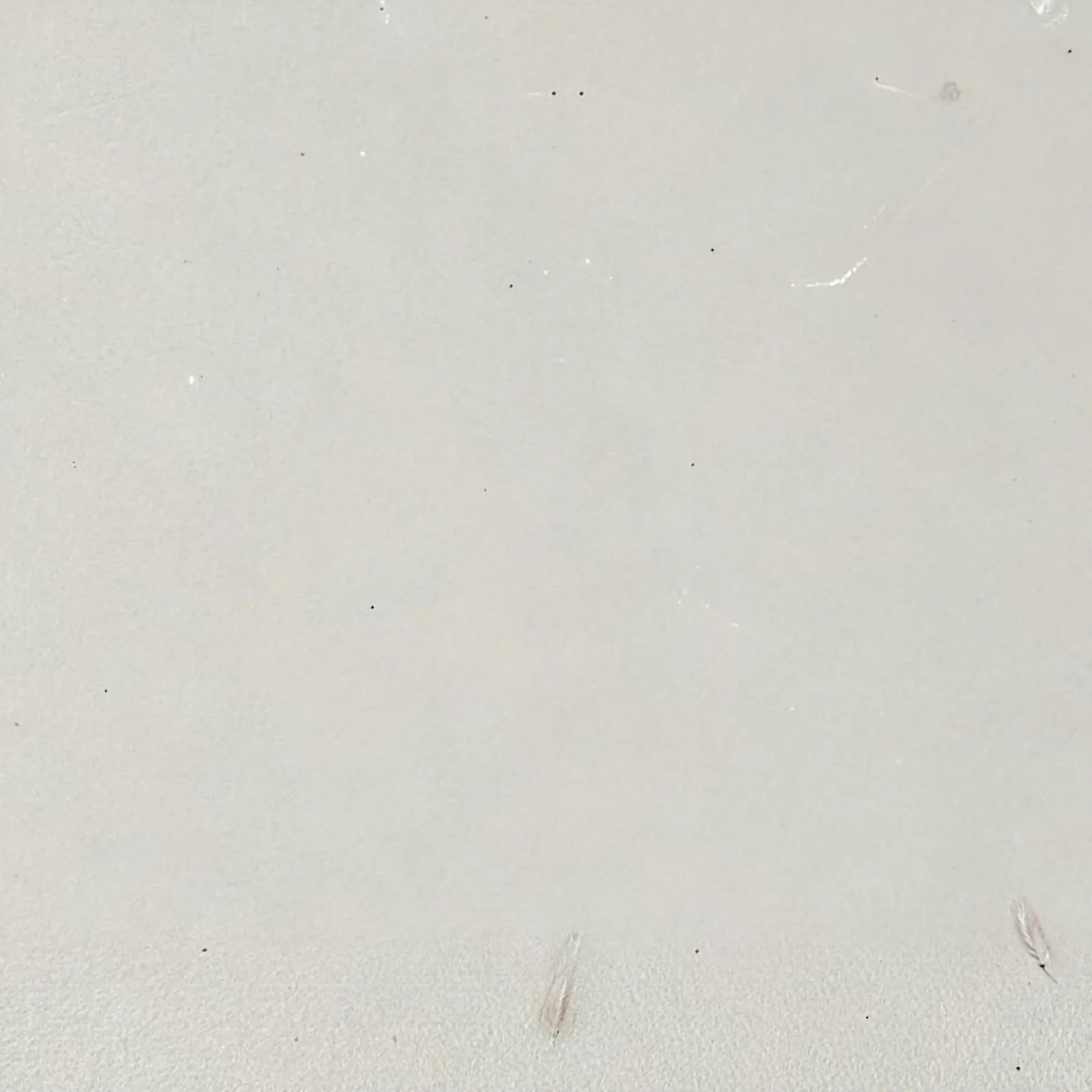 Fresh Cement quartz slab