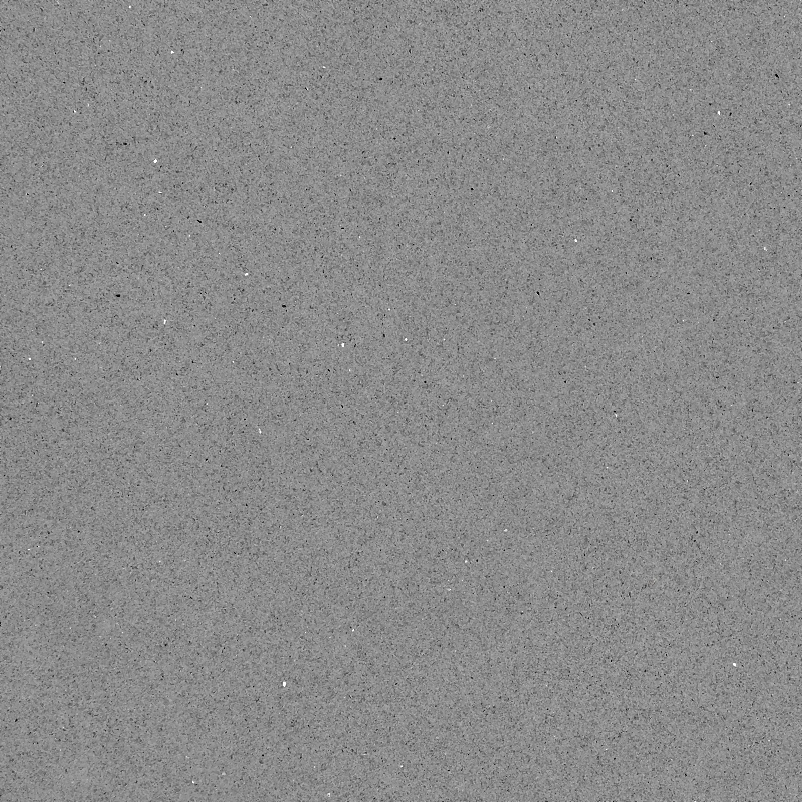 Grigio Starlight quartz slab