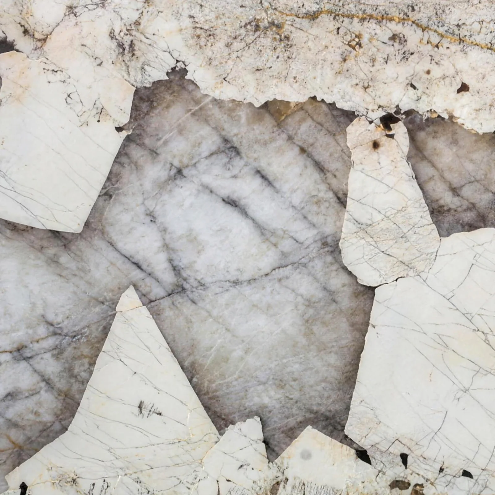 Patagonia Extra quartzite slab